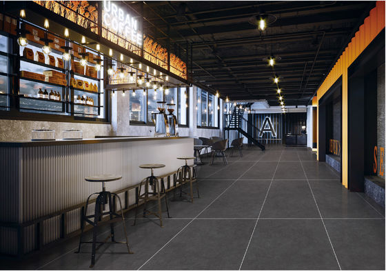 Купить Глубокий серый 48х24 Звездочный глазурь Порцелановые плитки Антибактериальный пол онлайн изготовление