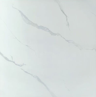 Marble and Carrara Gray Stain-resistant 600x600mm Indoor Floor Matt Ceramic Tiles For Living Room